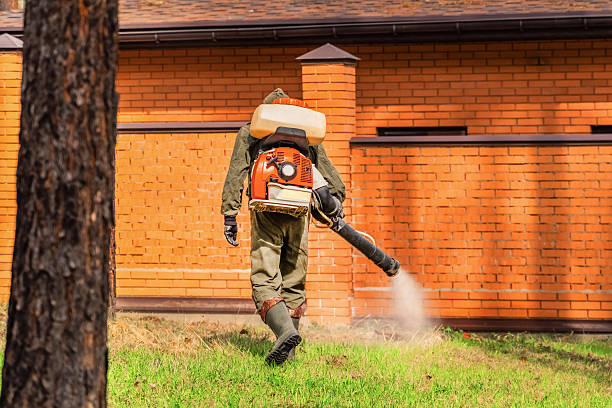 Bed Bug Clearance Verification and Documentation in Maud